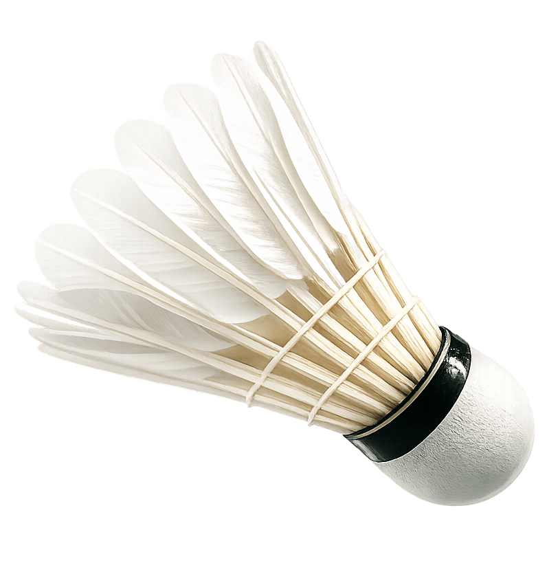 Shuttlecock
